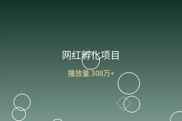 网红孵化项目案例展示图